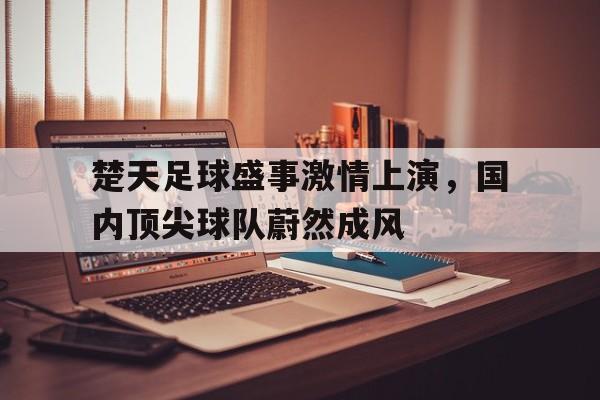 楚天足球盛事激情上演，国内顶尖球队蔚然成风的简单介绍