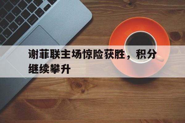 谢菲联主场惊险获胜，积分继续攀升的简单介绍